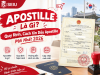 Apostille Là Gì? Quy Định, Cách Xin Dấu Apostille Mới Nhất 2026